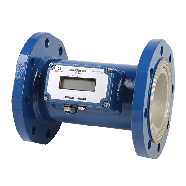 超聲波氣體流量計(jì) BF-3000